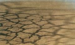 （圖）保護母親河