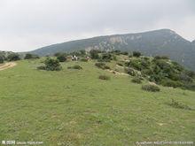 在草甸看望都峰