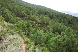 新樂行政村 新樂行政村