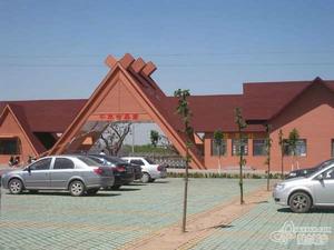 千年古桑園 千年古桑園