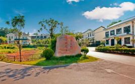 白箬鋪鎮 白箬鋪鎮