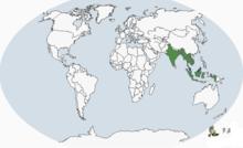白翅棲鴨(分布圖)