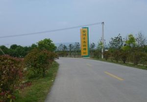 興家地自然村 興家地自然村