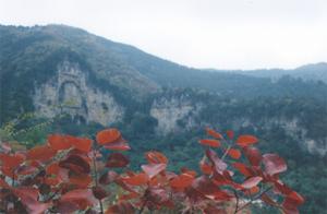 仰天山國家森林公園