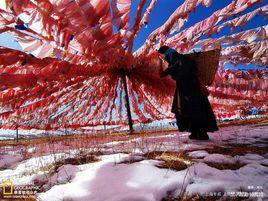 天平地安 天平地安