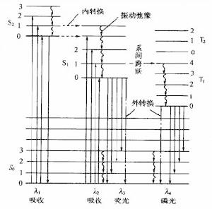 （圖）分子發光分析法
