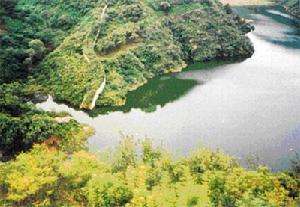 小西湖自然風景