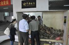 為海關部門鑑定“奔馬石雕”現場