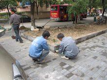 白鶴街道[重慶市開州區白鶴街道]