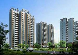 棗山家園 棗山家園