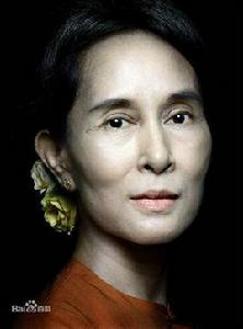 2015緬甸全國大選 2015緬甸全國大選