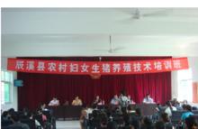 辰谿縣舉辦農村婦女生豬養殖培訓班