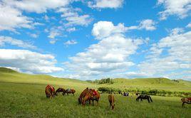 河北木蘭圍場國家森林公園 河北木蘭圍場國家森林公園