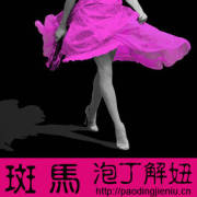《泡丁解妞》