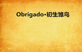 Obrigado·初生雛鳥 Obrigado·初生雛鳥