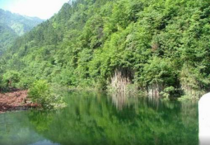 枯井園自然保護區