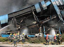 1·1蕭山縱火案 1·1蕭山縱火案