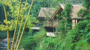 南崑山自然保護區 南崑山自然保護區