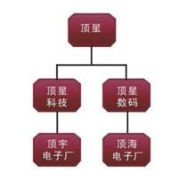 頂星集團架構