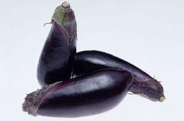 崑崙紫瓜 崑崙紫瓜