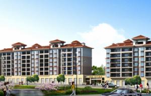 金鼎城中麗舍 金鼎城中麗舍