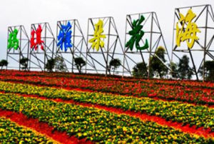 瑪琪雅朵花海 瑪琪雅朵花海