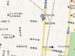 華爾街中心 華爾街中心