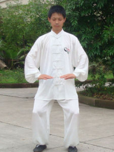 太極樁功 太極樁功