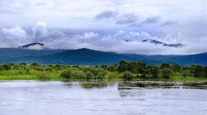珍寶島國家森林公園 珍寶島國家森林公園
