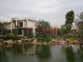 譽山國際 譽山國際