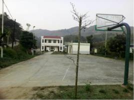 太平村[海南省五指山市通什鎮太平村]