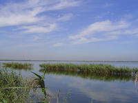 七裏海鎮 七裏海鎮