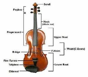 （圖）小提琴的結構（正面）