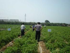 後尹家村 後尹家村