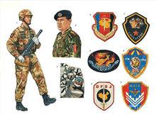 特種部隊87式和07式軍服