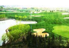 高爾夫標準球場