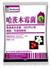 美國拜沃股份有限公司