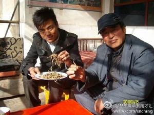 索南才讓和家鄉人一起上山挖蟲草