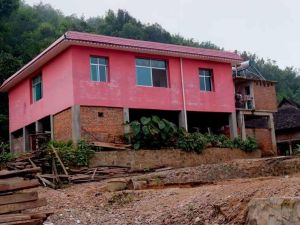 巴來下寨村 巴來下寨村