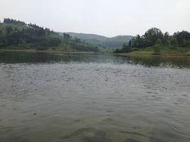 柘溪村[湖南省柘溪村]