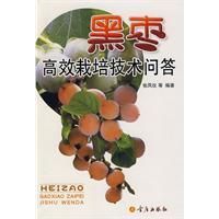 《黑棗高效栽培技術問答》