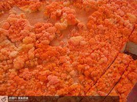 紅菌豆腐渣 紅菌豆腐渣