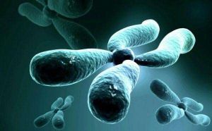 絕滅基因 絕滅基因