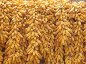 仕坑村[廣東省樂昌市三溪鎮仕坑村]