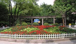 上海蘭溪青年公園 上海蘭溪青年公園