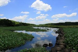 自然恩賜——久溫塘冷泉