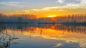 微山湖濕地紅荷旅遊區