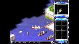 電擊水母 電擊水母