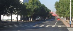 白馬泉[山東棗莊]