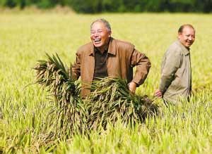 新陸早49號 新陸早49號